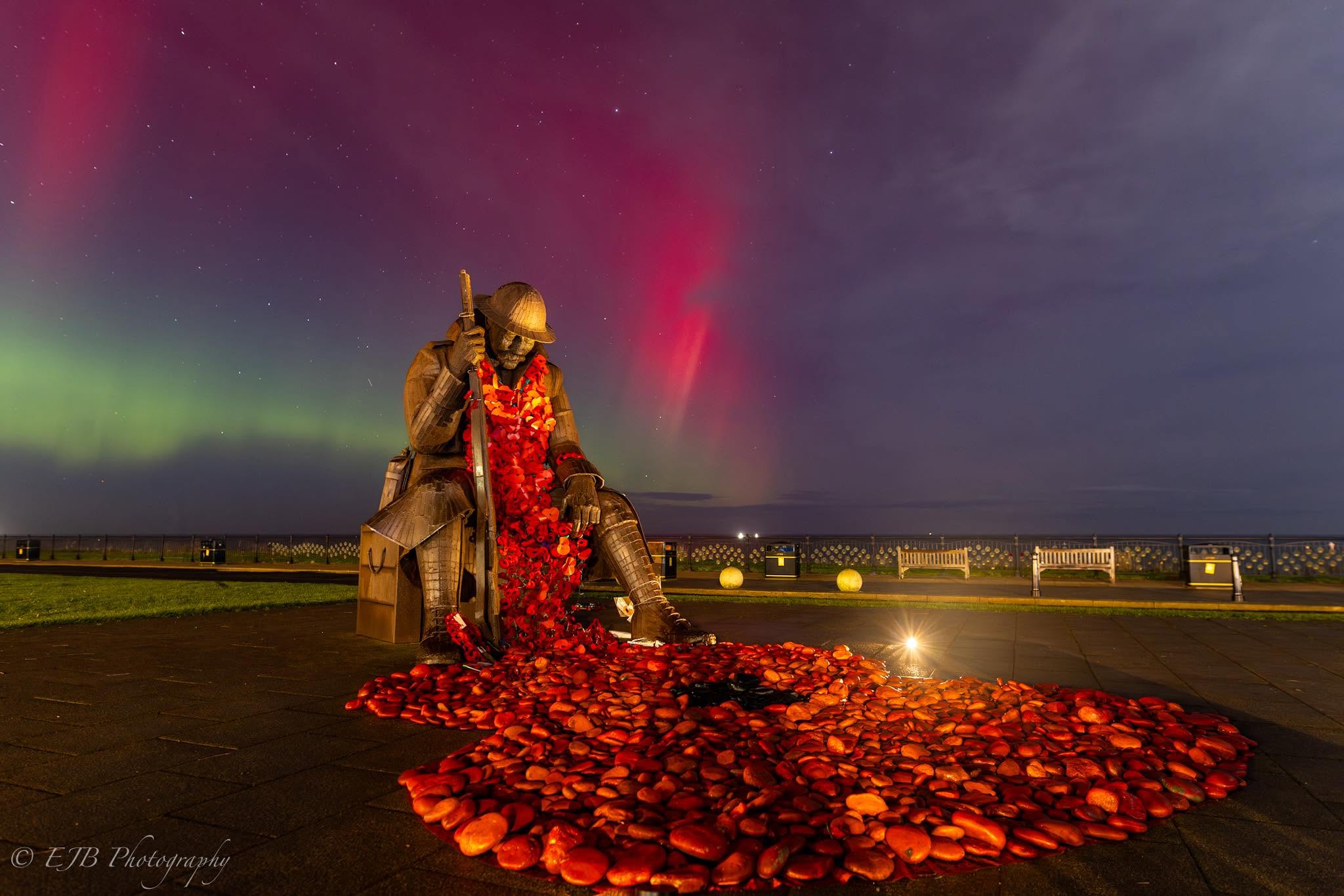 Tommy covered with remembrance poppies beneath the northern lights