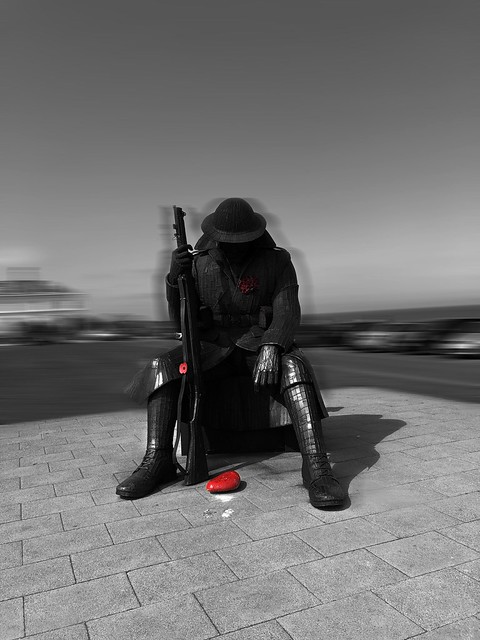 Black and white view of Tommy with a single red poppy